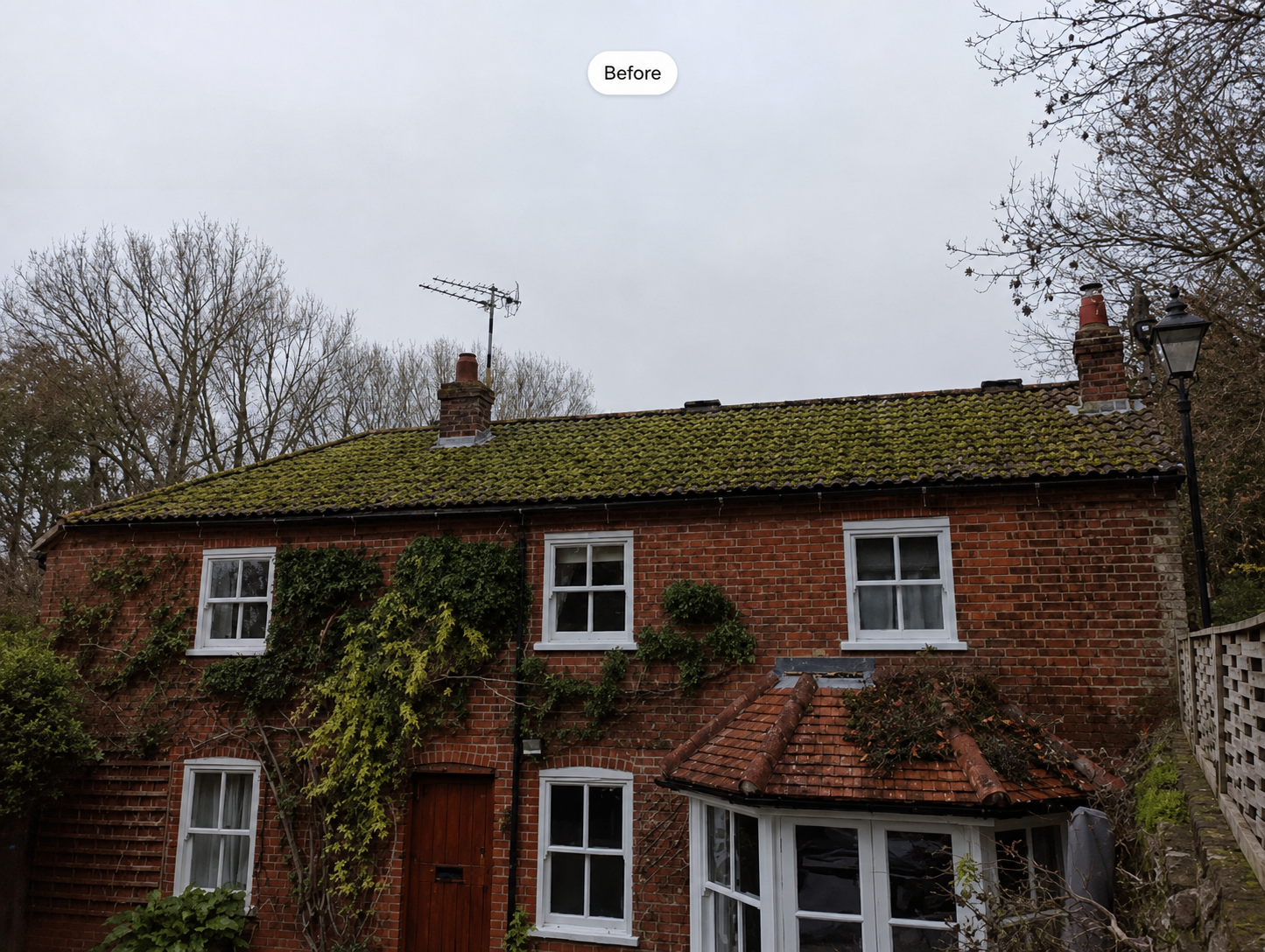 Cottage roof before cleaning in Kildimo, Limerick